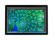 Microsoft Surface Pro4 Core i5 8GB 512GB Tablet