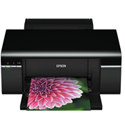 Epson Stylus Photo T50 Printer