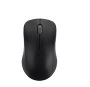 RAPOO 2650 Wireless Mouse