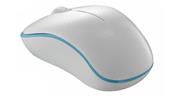 RAPOO M12 Wireless Mouse