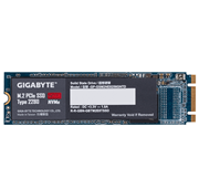 SSD GigaByte GP-GSM2NE8256GNTD 256GB PCIe Gen3.0 x2 M.2 2280 Internal Drive