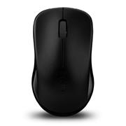 RAPOO 1620 Wireless Optical Mouse