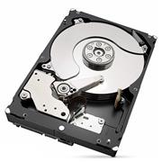 Seagate ST6000VX001 SkyHawk 6TB 256MB Cache Internal Hard Drive