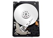 Western Digital  Blue 2TB  Notebook Hard Drive