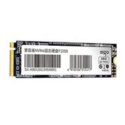 SSD aigo P2000 256GB PCIe Gen3x4 M.2 2280 Internal