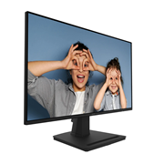 MSI PRO MP252 24.5 Inch Monitor